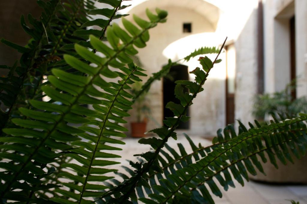 Dimora Storica "Casa Sicuro" Martano Exterior foto