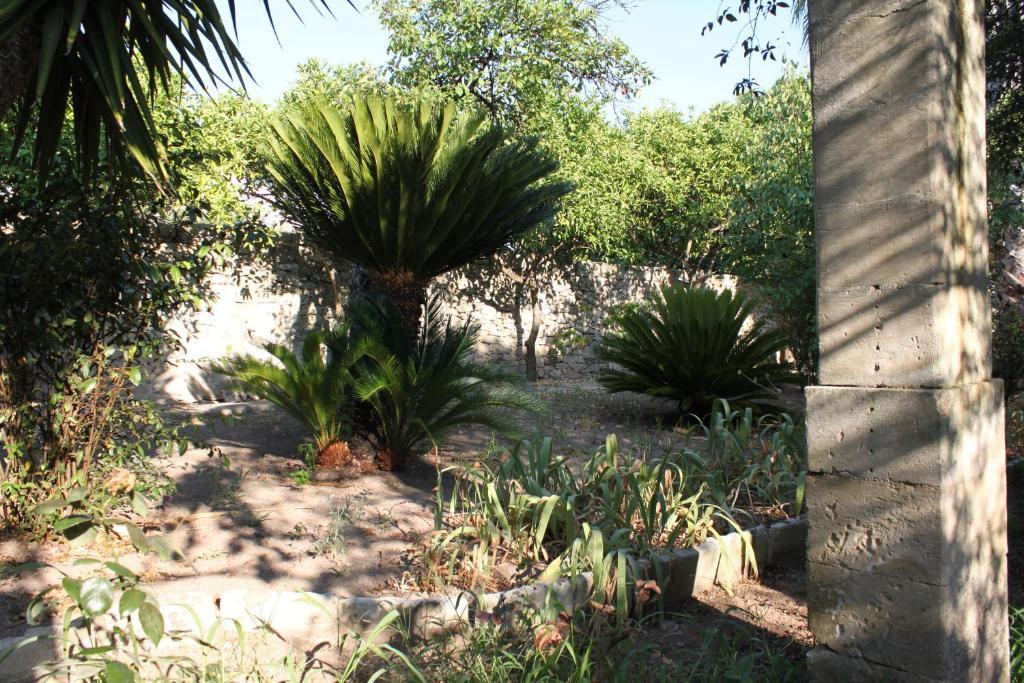 Dimora Storica "Casa Sicuro" Martano Exterior foto