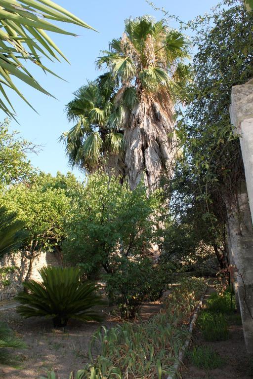 Dimora Storica "Casa Sicuro" Martano Exterior foto